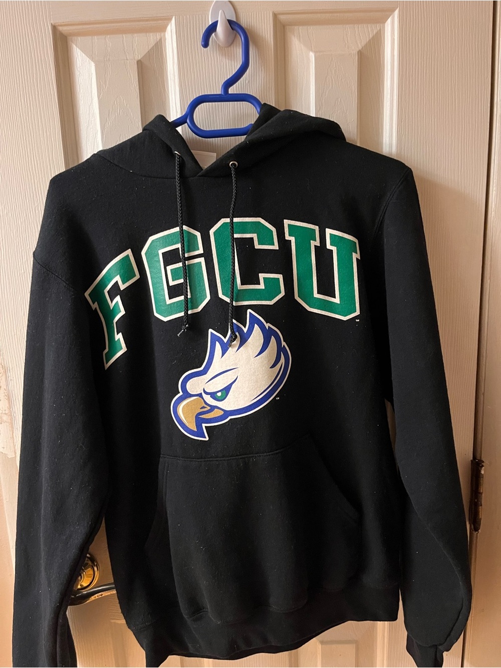 FGCU champion Hoodie with Green Lettering and Eagle Logo